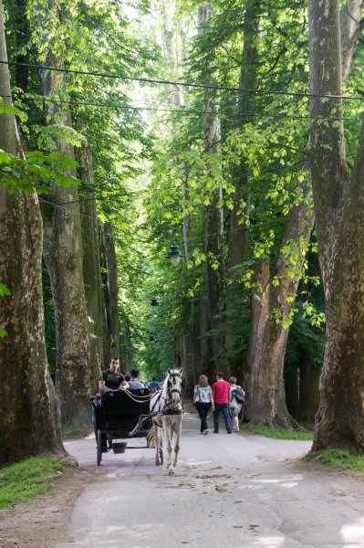 Vrelo Bosne