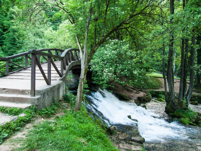 Vrelo Bosne