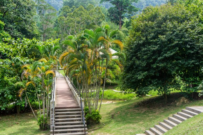Jardin botanique de Penang, Malaisie