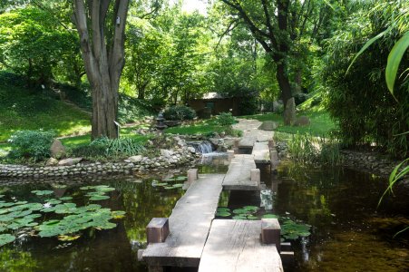 Jardin botanique de Belgrade