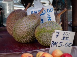 Durian, fruit malaisien