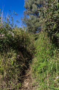 Chemin ascension Mont Bromo