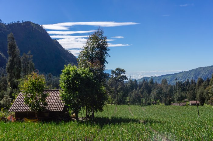 Randonnée près du mont Bromo, Indonésie