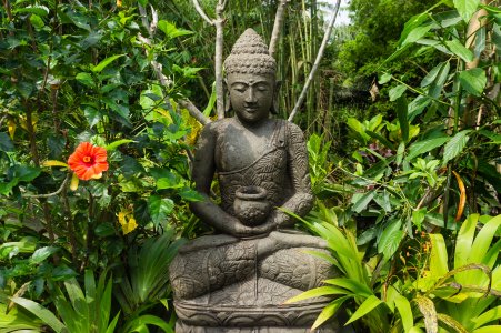 Statue de Bouddha zen, Bali