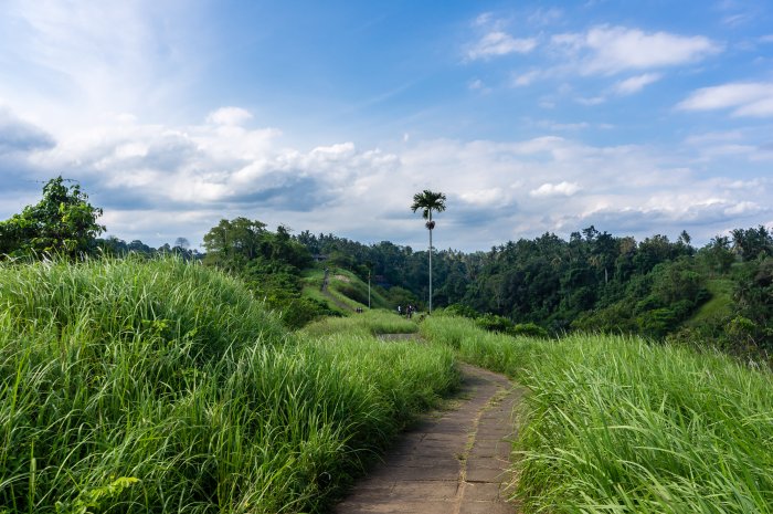 Campuhan Ridge Walk, Ubud, Bali