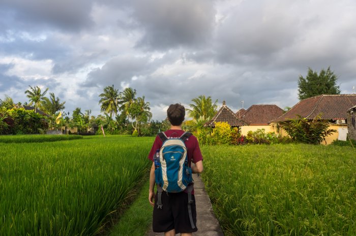 Rizières à Penestanan, Ubud, Bali