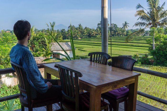 Rizières à Ubud, Bali, Indonésie