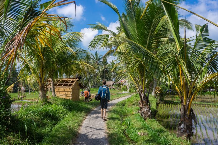 Balade à Ubud, Bali