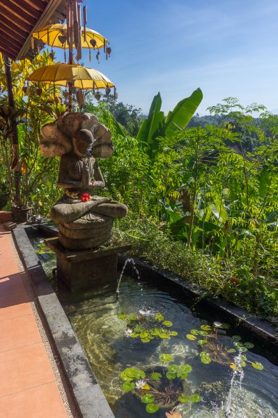 Intuitive Yoga Flow, Ubud, Bali