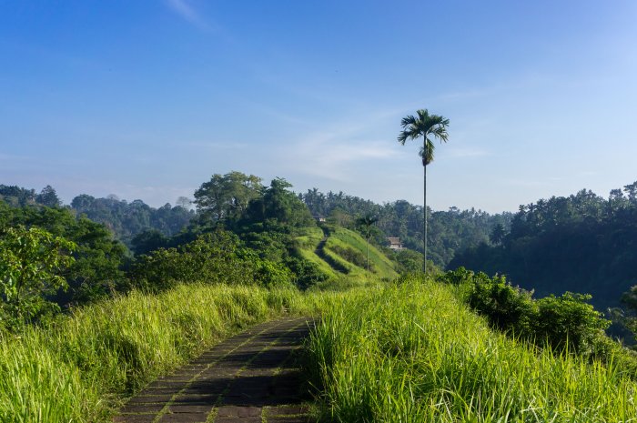 Campuhan Ridge Walk, Ubud, Bali