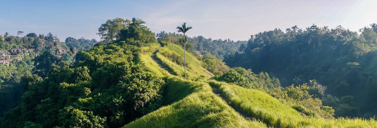 Campuhan Ridge Walk, Ubud, Bali