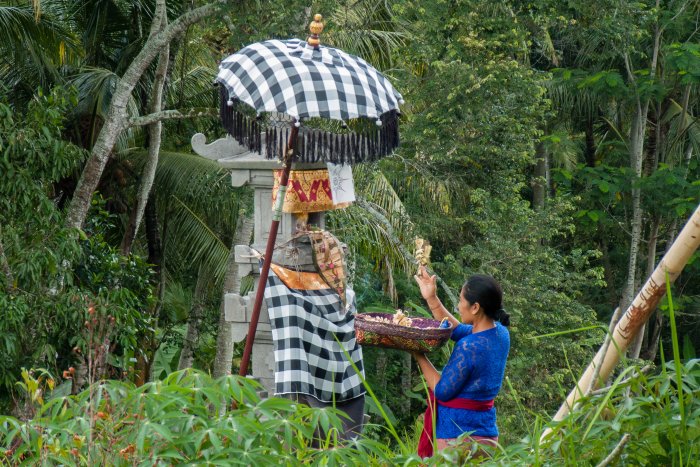 Offrandes à Bali