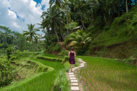 Rizières de Tegalalang, Bali