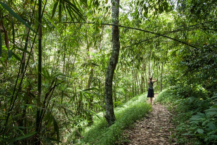 Randonnée à Munduk, Bali