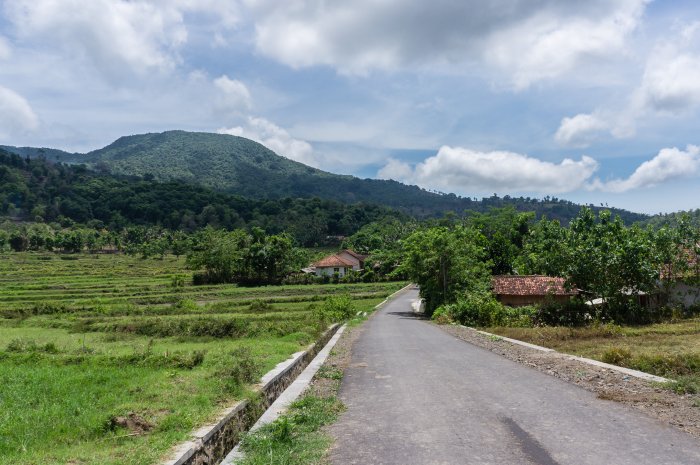 Route de campagne à Lombok