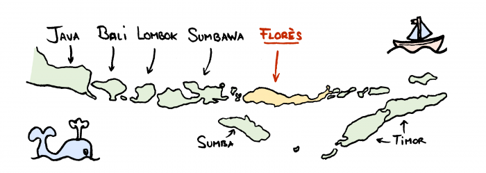 Carte de Florès et les petites îles de la Sonde