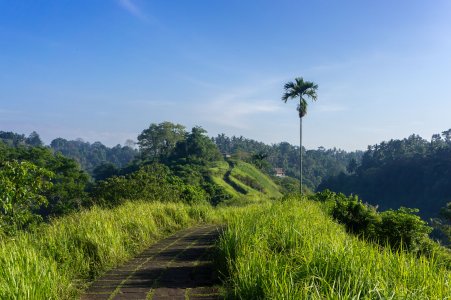 Ubud, Bali