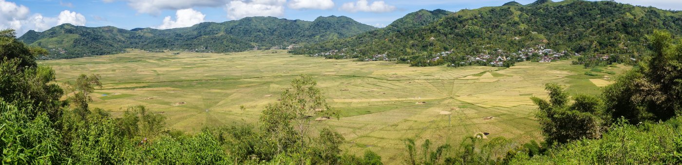 Spider rice fields, Ruteng