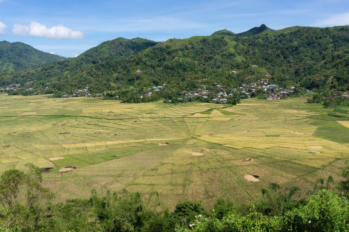 Spider rice fields, Ruteng