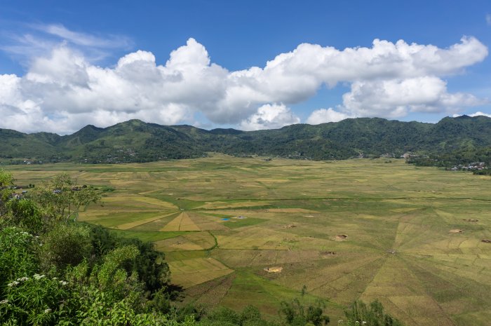 Spider rice fields, Ruteng