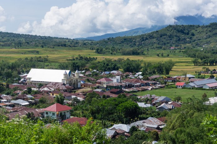 Cancar, Flores