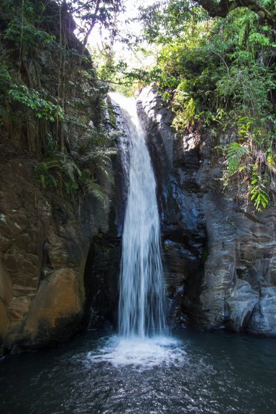 Cascade à Moni, Florès