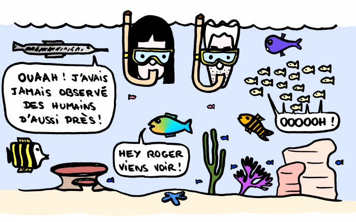 Dessin : Snorkeling à Gili Air