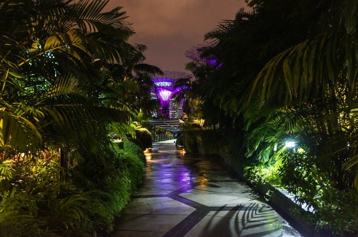 Gardens by the bay, Singapour
