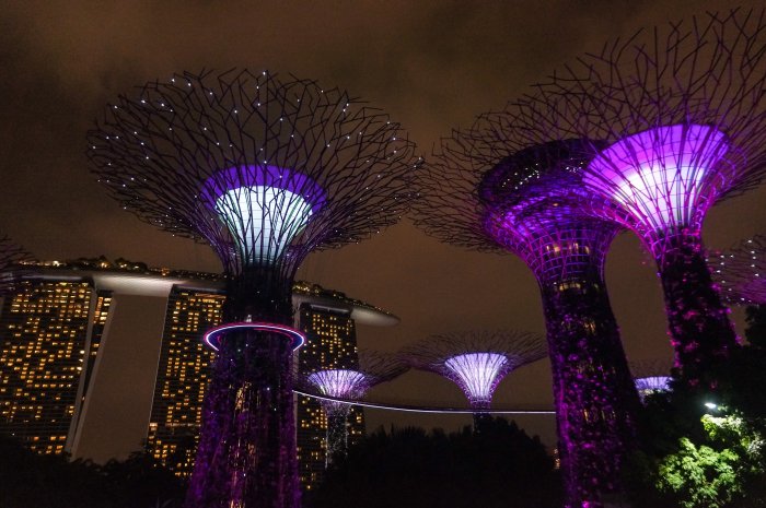 Gardens by the bay, Singapour