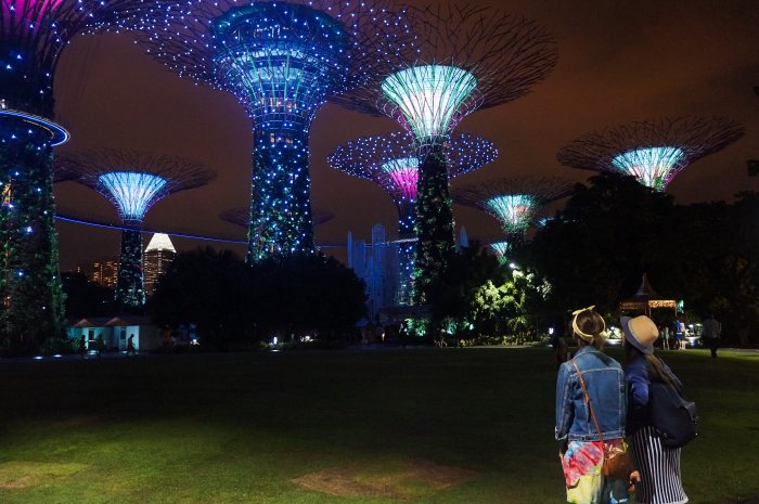 Gardens by the bay, Singapour