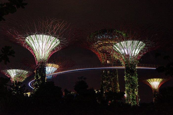 Gardens by the bay, Singapour