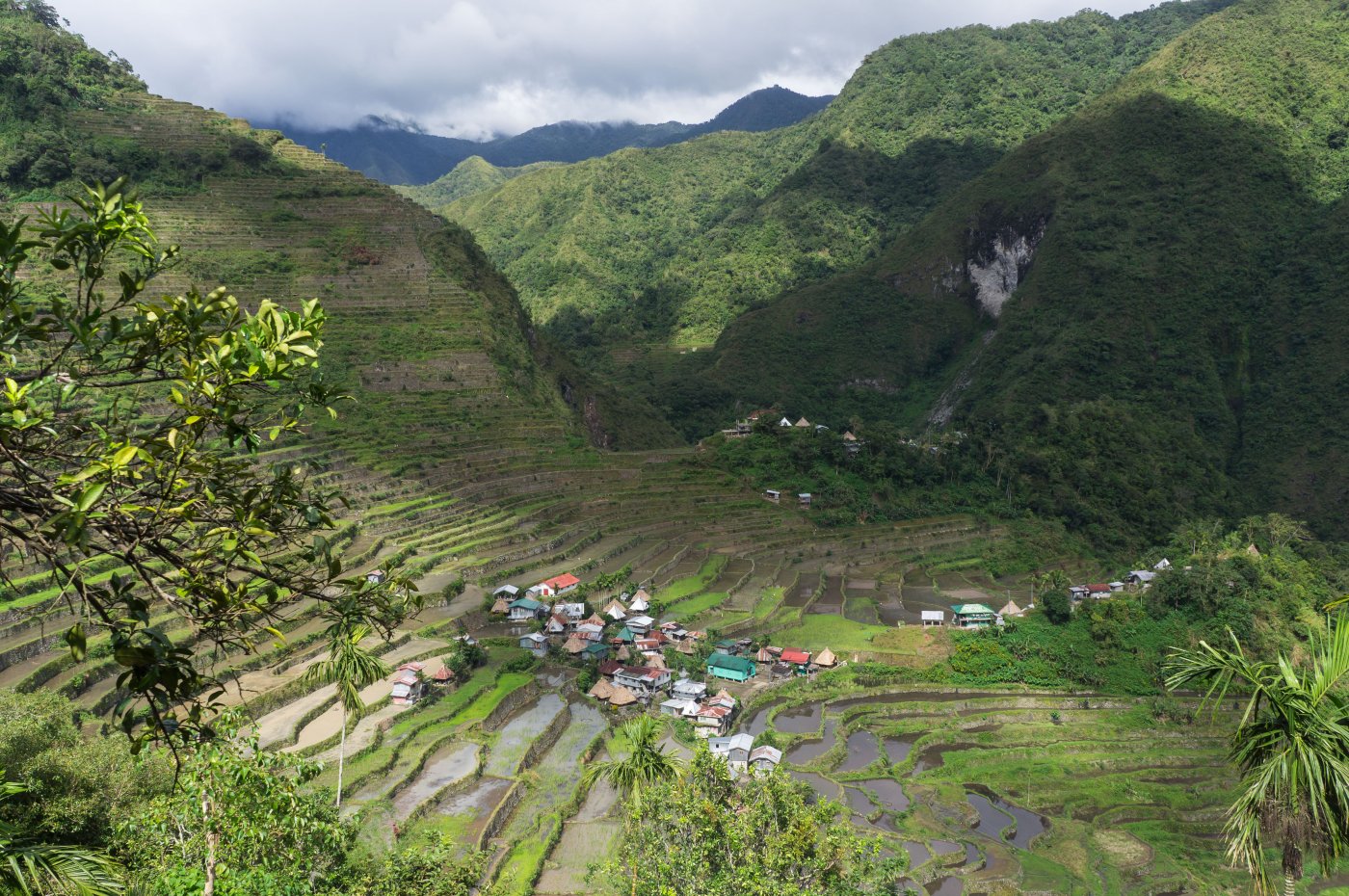 Rizières de Batad