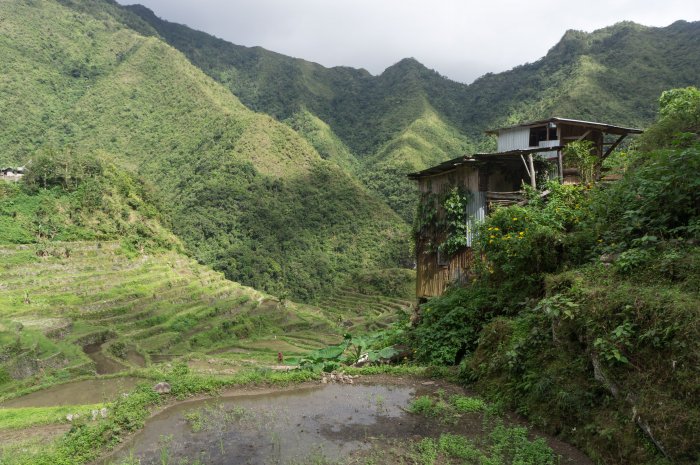 Rizières de Batad, Luzon, Philippines