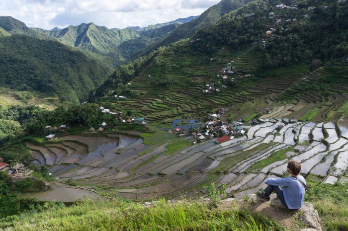 Rizières de Batad, Luzon, Philippines