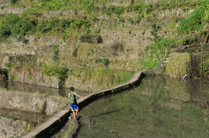 Rizières de Batad, Luzon, Philippines