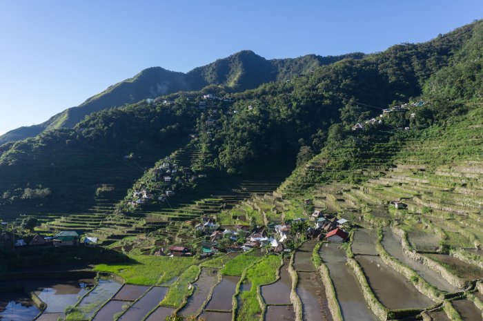 Rizières de Batad, Luzon, Philippines