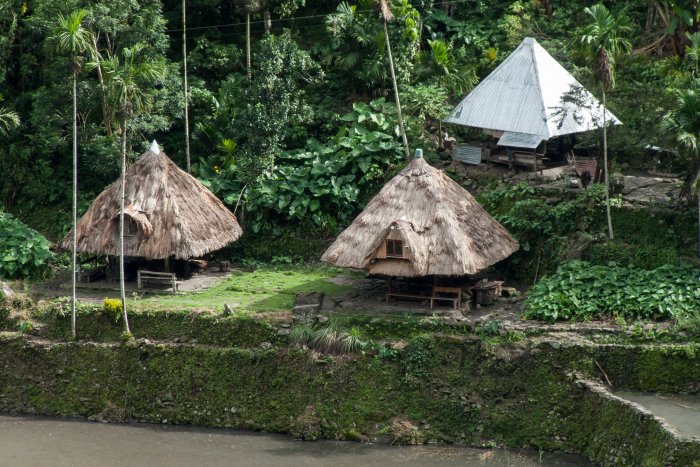 Maisons traditionnelles à Batad, Philippines