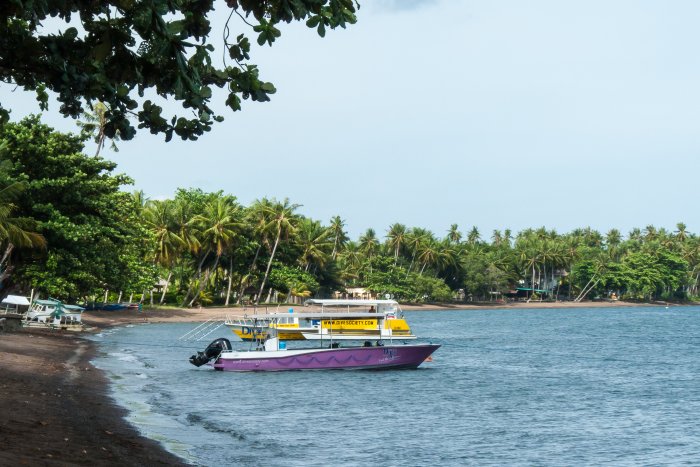 Plage de Dauin, Negros