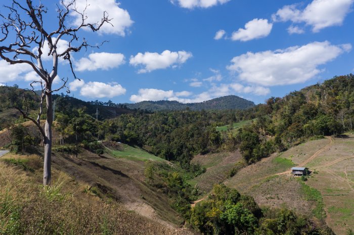 Route 1095, Thaïlande