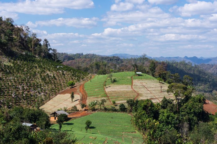 Route 1095, Thaïlande