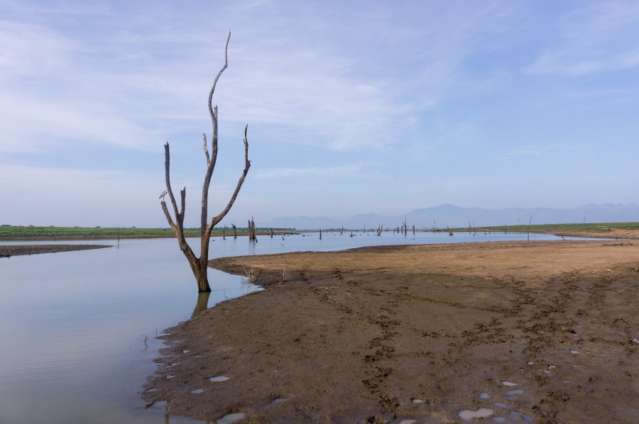 Parc national d'Udawalawe