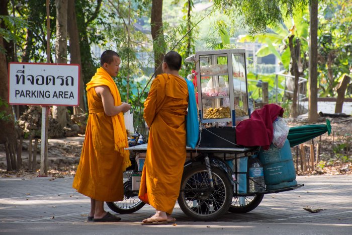 Moines au Wat Umong, Chiang Mai