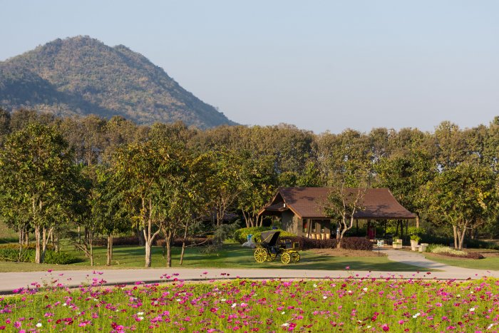 Singha park, Chiang Rai