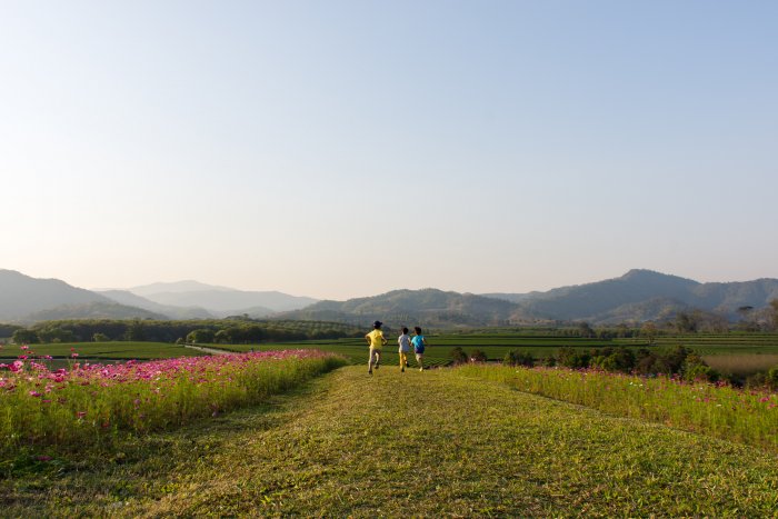 Singha Park, Chiang Rai