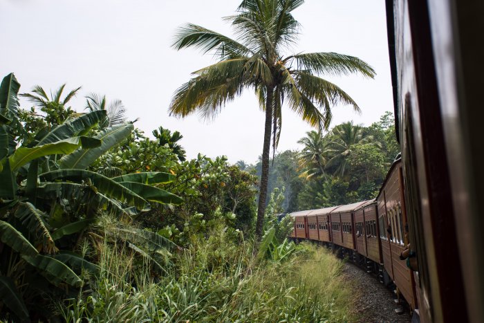 Voyage en train au Sri Lanka