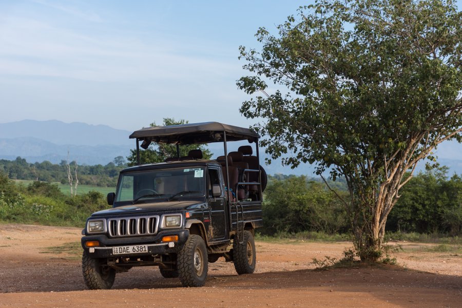 Parc national d'Udawalawe