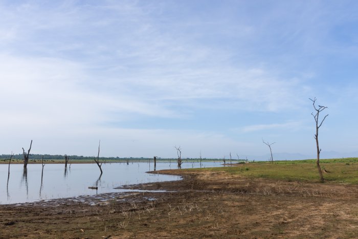 Parc national d'Udawalawe, Sri Lanka