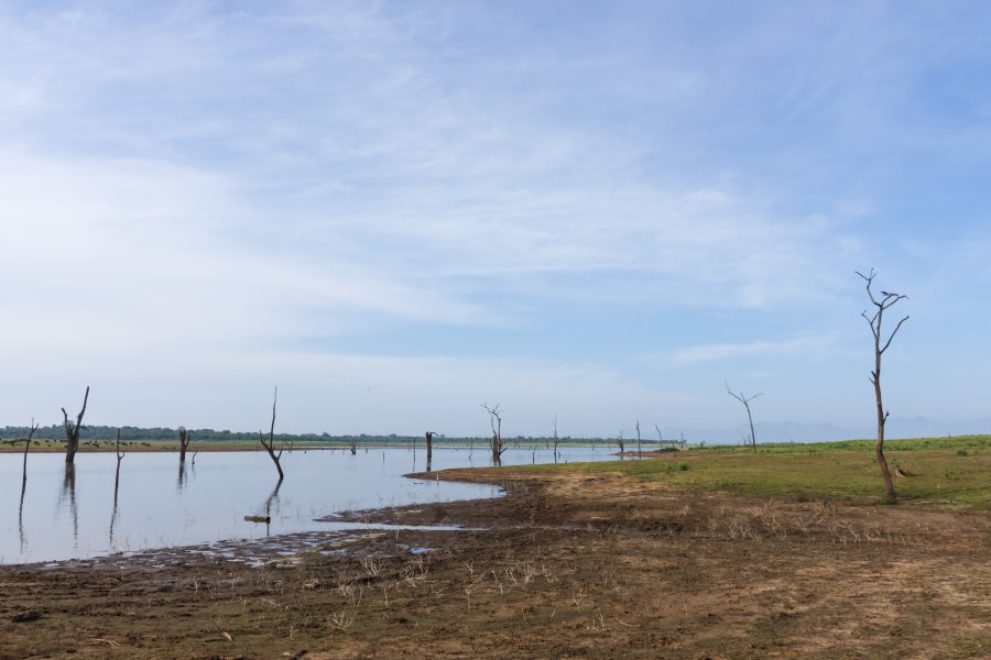 Parc national d'Udawalawe, Sri Lanka