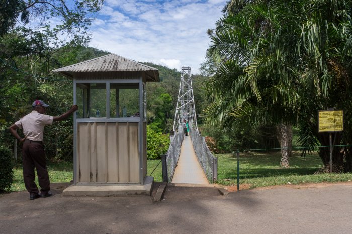 Pont suspendu, Jardin botanique de Kandy, Sri Lanka