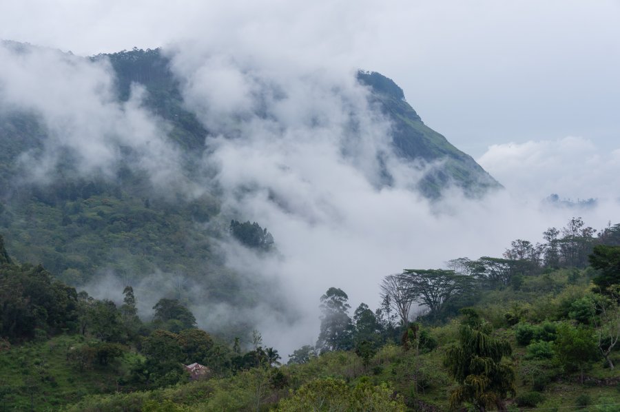 Nuages dans la vallée d'Ella, Sri Lanka
